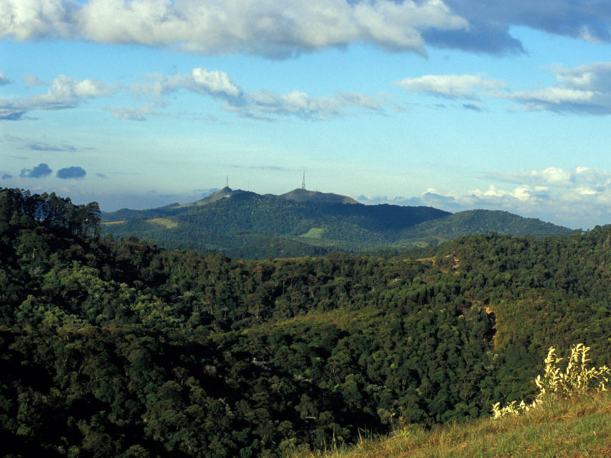 imagem06